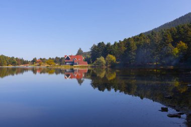 Bolu Gölcük Milli Parkı'nda orman içi ahşap göl evi, Bolu, Türkiye