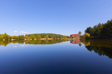 Bolu Gölcük Milli Parkı'nda orman içi ahşap göl evi, Bolu, Türkiye