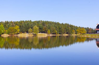 Bolu Gölcük Milli Parkı'nda orman içi ahşap göl evi, Bolu, Türkiye