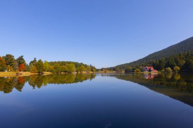 Bolu Gölcük Milli Parkı'nda orman içi ahşap göl evi, Bolu, Türkiye