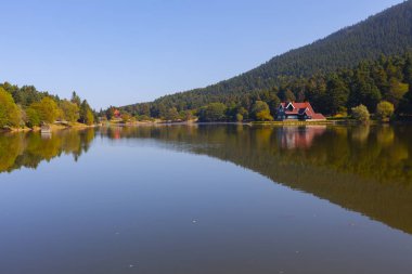 Bolu Gölcük Milli Parkı'nda orman içi ahşap göl evi, Bolu, Türkiye