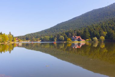 Bolu Gölcük Milli Parkı'nda orman içi ahşap göl evi, Bolu, Türkiye