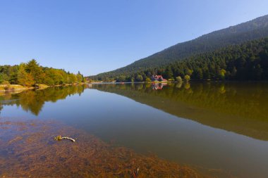 Bolu Gölcük Milli Parkı'nda orman içi ahşap göl evi, Bolu, Türkiye