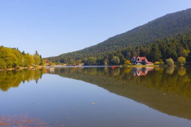 Bolu Gölcük Milli Parkı'nda orman içi ahşap göl evi, Bolu, Türkiye