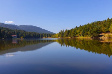 Bolu Gölcük Milli Parkı'nda orman içi ahşap göl evi, Bolu, Türkiye