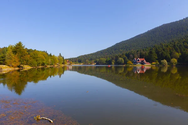 Bolu Gölcük Milli Parkı'nda orman içi ahşap göl evi, Bolu, Türkiye