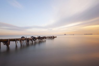 Istanbul 'dan güzel kayalar ve deniz manzarası, Türkiye 'de Agva