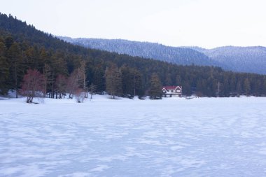 Abant-Gölcük güzel görünümü. İnanılmaz göl manzarası. Bolu Türkiye