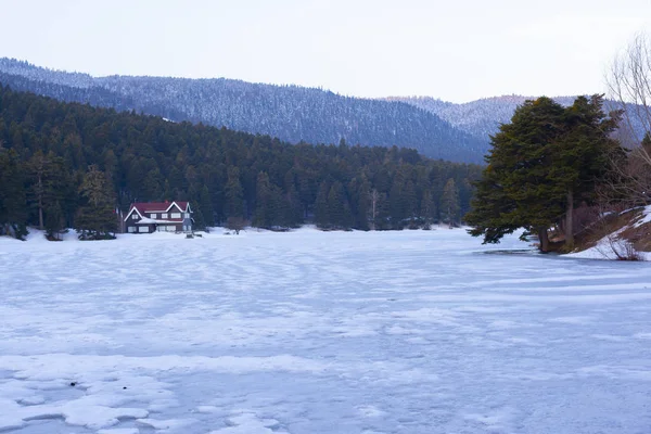 Hermosa Vista Lago Abant Golcuk Increíble Paisaje Del Lago Bolu — Foto de Stock