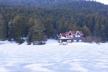 Abant-Gölcük güzel görünümü. İnanılmaz göl manzarası. Bolu Türkiye