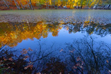 Bolu Türkiye Sonbahar'da Sevenlakes Milli Parkı. Yedigöller Milli Parkı