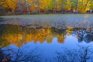 Bolu Türkiye Sonbahar'da Sevenlakes Milli Parkı. Yedigöller Milli Parkı