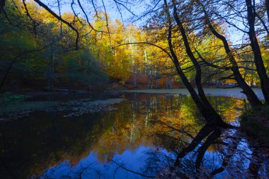 Bolu Türkiye Sonbahar'da Sevenlakes Milli Parkı. Yedigöller Milli Parkı
