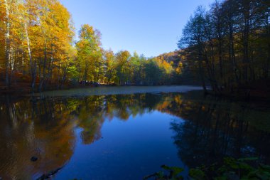 Bolu Türkiye Sonbahar'da Sevenlakes Milli Parkı. Yedigöller Milli Parkı