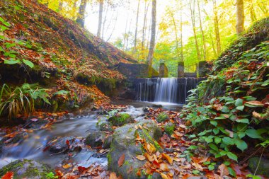 Bolu Türkiye Sonbahar'da Sevenlakes Milli Parkı. Yedigöller Milli Parkı