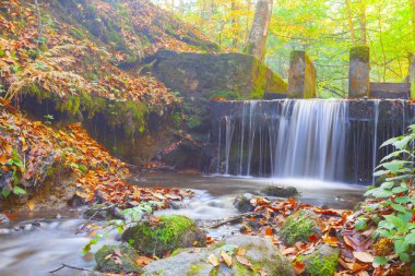 Bolu Türkiye Sonbahar'da Sevenlakes Milli Parkı. Yedigöller Milli Parkı