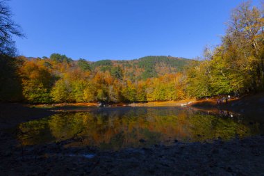 Bolu Türkiye Sonbahar'da Sevenlakes Milli Parkı. Yedigöller Milli Parkı