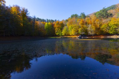 Bolu Türkiye Sonbahar'da Sevenlakes Milli Parkı. Yedigöller Milli Parkı
