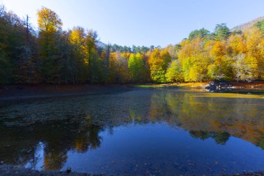 Bolu Türkiye Sonbahar'da Sevenlakes Milli Parkı. Yedigöller Milli Parkı