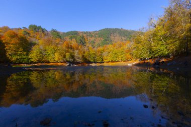 Bolu Türkiye Sonbahar'da Sevenlakes Milli Parkı. Yedigöller Milli Parkı