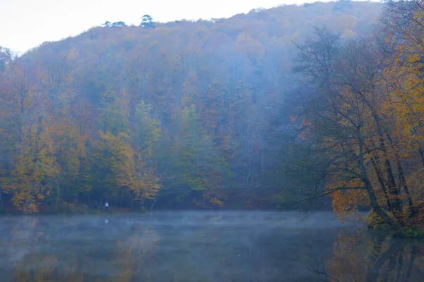 Sevenlakes National Park Autumn Bolu Turkey Yedigoller Milli Park — Stock Photo, Image