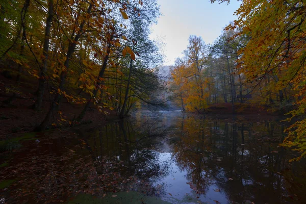 Сім Озер Національний Парк Восени Bolu Туреччини Парк Єділлер Міллі — стокове фото