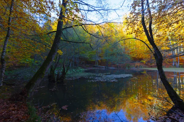 Sevenlakes National Park Automne Bolu Turquie Yedigoller Milli Parc — Photo