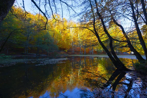 Sevenlakes National Park Automne Bolu Turquie Yedigoller Milli Parc — Photo