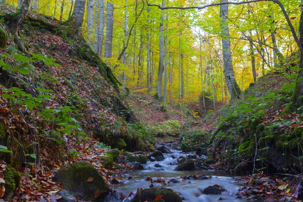 Parco Nazionale Sevenlakes Autunno Bolu Turchia Parco Yedigoller Milli — Foto Stock