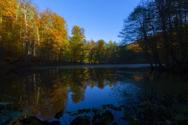 Sevenlakes Nemzeti Park Őszi Bolu Törökországban Yedigoller Milli Park — Stock Fotó