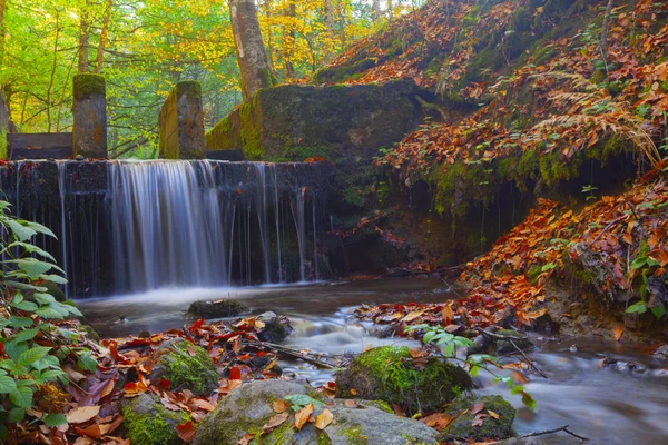 Parque Nacional Sevenlakes Otoño Bolu Turquía Parque Yedigoller Milli — Foto de Stock