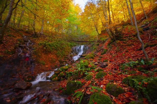 Parque Nacional Sevenlakes Outono Bolu Turquia Parque Yedigoller Milli — Fotografia de Stock