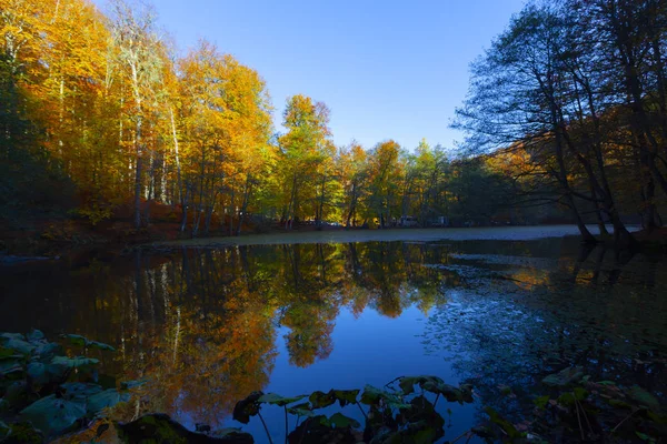 Sedmijezská Národní Park Podzim Bolu Turkey Yedigoller Milli Park — Stock fotografie