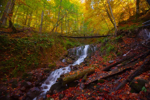 Parque Nacional Sevenlakes Otoño Bolu Turquía Parque Yedigoller Milli — Foto de Stock