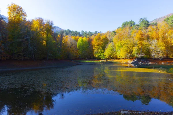 7Venlakes Nationalpark Herbst Bolu Truthahn Yedigoller Milli Park — Stockfoto