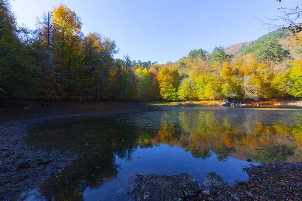 Sevenlakes National Park Höst Bolu Turkiet Yedigoller Milli Park — Stockfoto