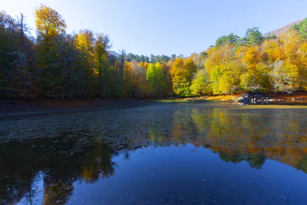 Sevenlakes National Park Höst Bolu Turkiet Yedigoller Milli Park — Stockfoto