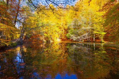 Bolu Türkiye Sonbahar'da Sevenlakes Milli Parkı. Yedigöller Milli Parkı