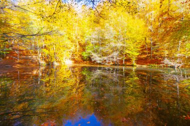 Bolu Türkiye Sonbahar'da Sevenlakes Milli Parkı. Yedigöller Milli Parkı