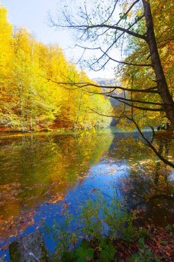Bolu Türkiye Sonbahar'da Sevenlakes Milli Parkı. Yedigöller Milli Parkı