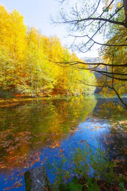 Bolu Türkiye Sonbahar'da Sevenlakes Milli Parkı. Yedigöller Milli Parkı