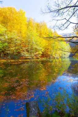 Bolu Türkiye Sonbahar'da Sevenlakes Milli Parkı. Yedigöller Milli Parkı
