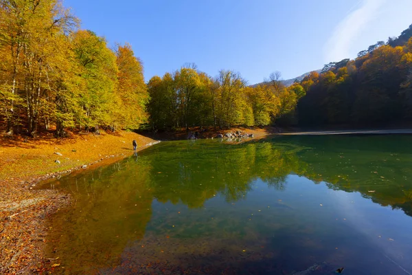 Sevenlakes Nemzeti Park Őszi Bolu Törökországban Yedigoller Milli Park — Stock Fotó