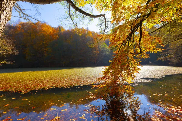 七湖国家公园在秋季博卢土耳其 耶迪戈勒毫米公园 — 图库照片
