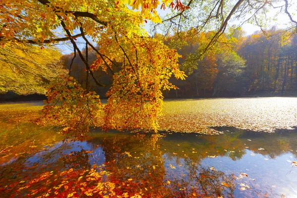 秋のボルトルコのセブンレイクス国立公園 イエディゴラー パーク — ストック写真