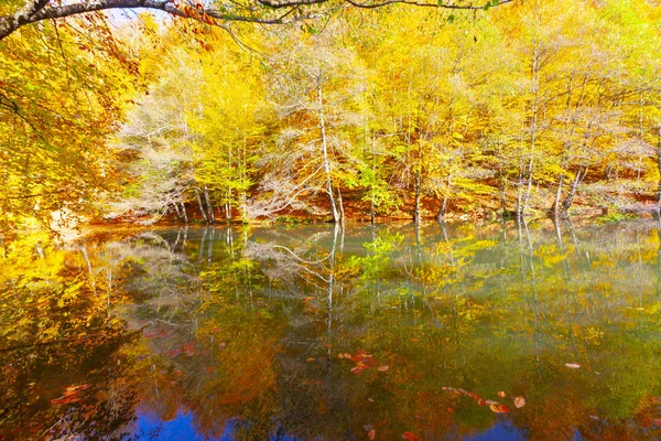 Sevenlakes National Park Automne Bolu Turquie Yedigoller Milli Parc — Photo