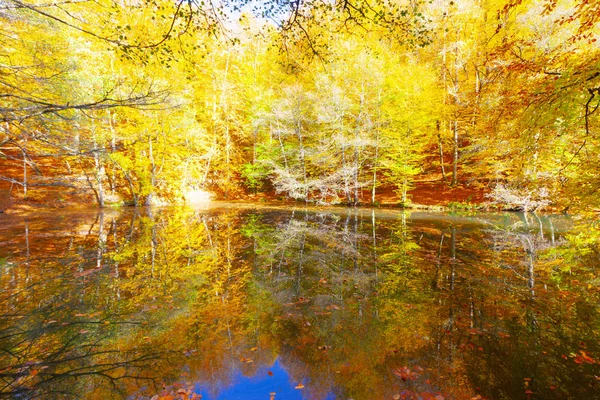 Sedmijezská Národní Park Podzim Bolu Turkey Yedigoller Milli Park — Stock fotografie