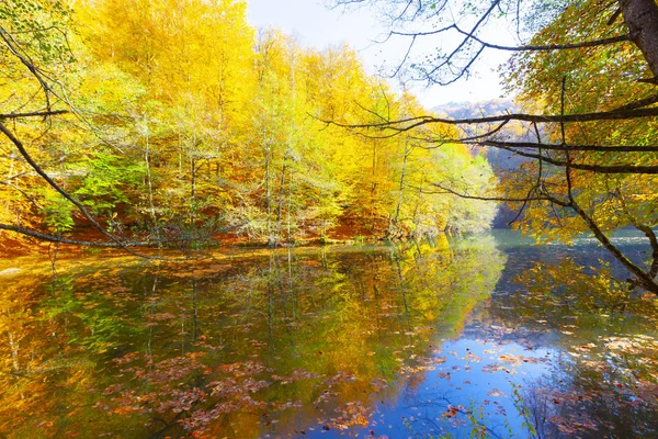 Sedmijezská Národní Park Podzim Bolu Turkey Yedigoller Milli Park — Stock fotografie