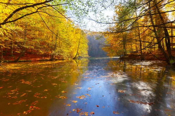 Park Narodowy Sevenlakes Jesienią Bolu Turcja Yedigoller Milli Park — Zdjęcie stockowe