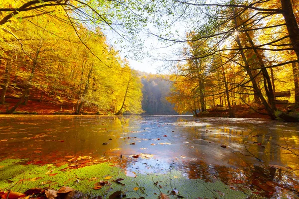 Parque Nacional Sevenlakes Outono Bolu Turquia Parque Yedigoller Milli — Fotografia de Stock